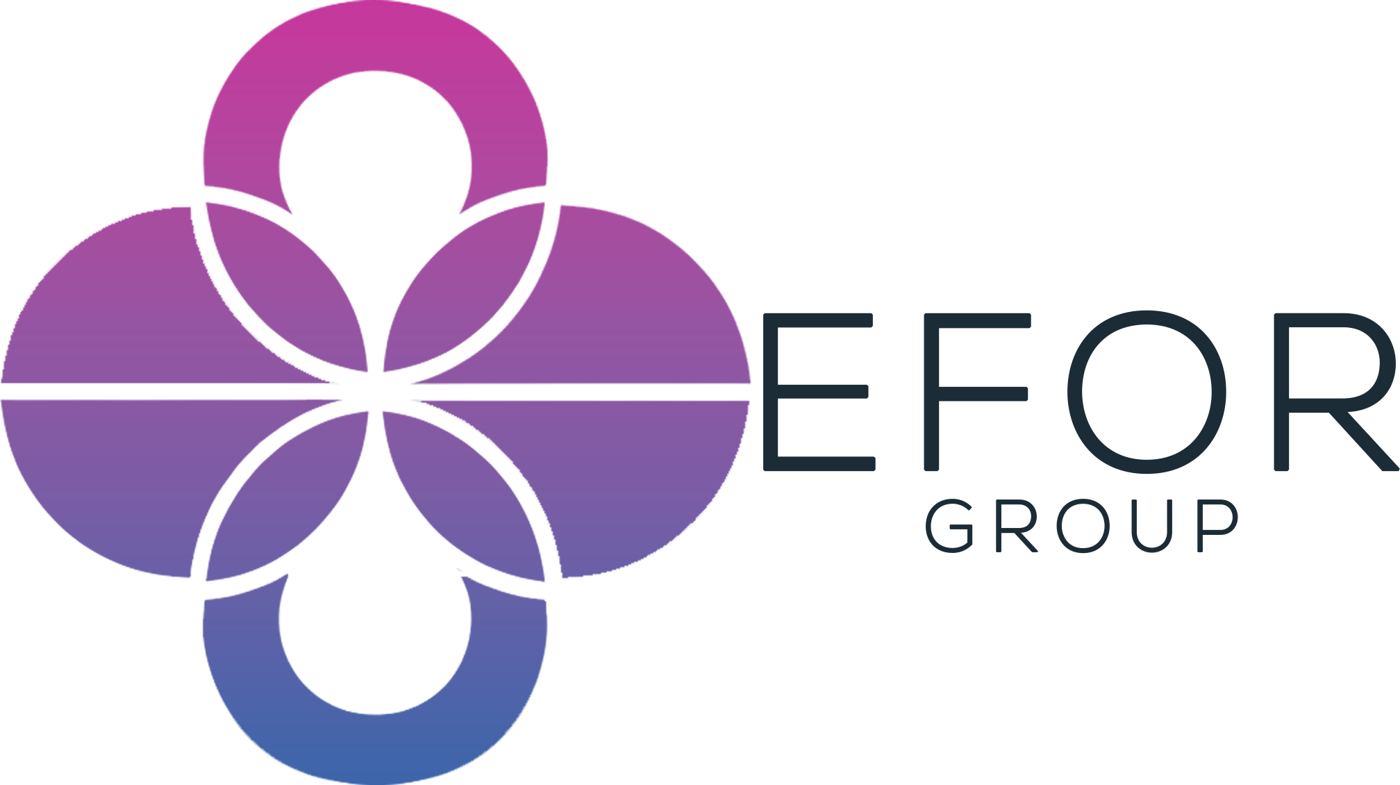 EFOR GROUP